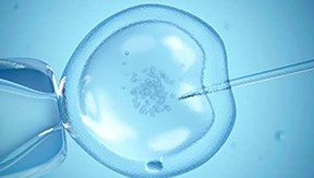 Comparazione tra la FIV su ciclo naturale e la FIV convenzionale