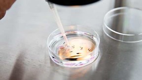 Vilken är skillnaden mellan IVF-behandling och insemination?